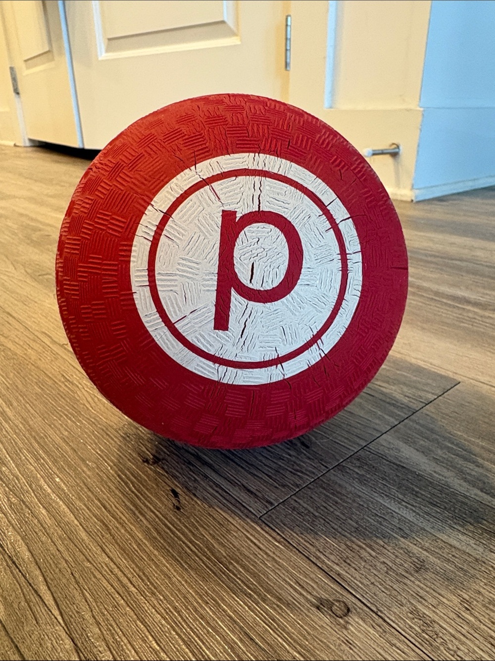 Pure Barre Logo Exercise Ball | Original